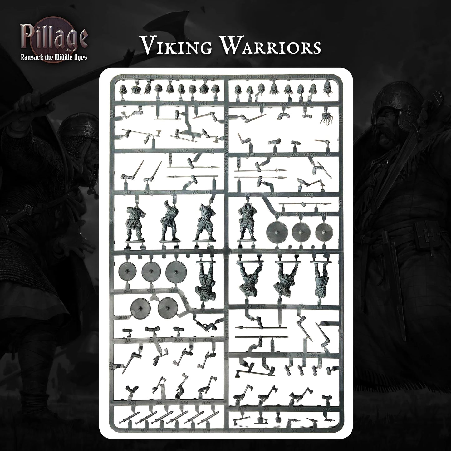 Pillage Introductory Set