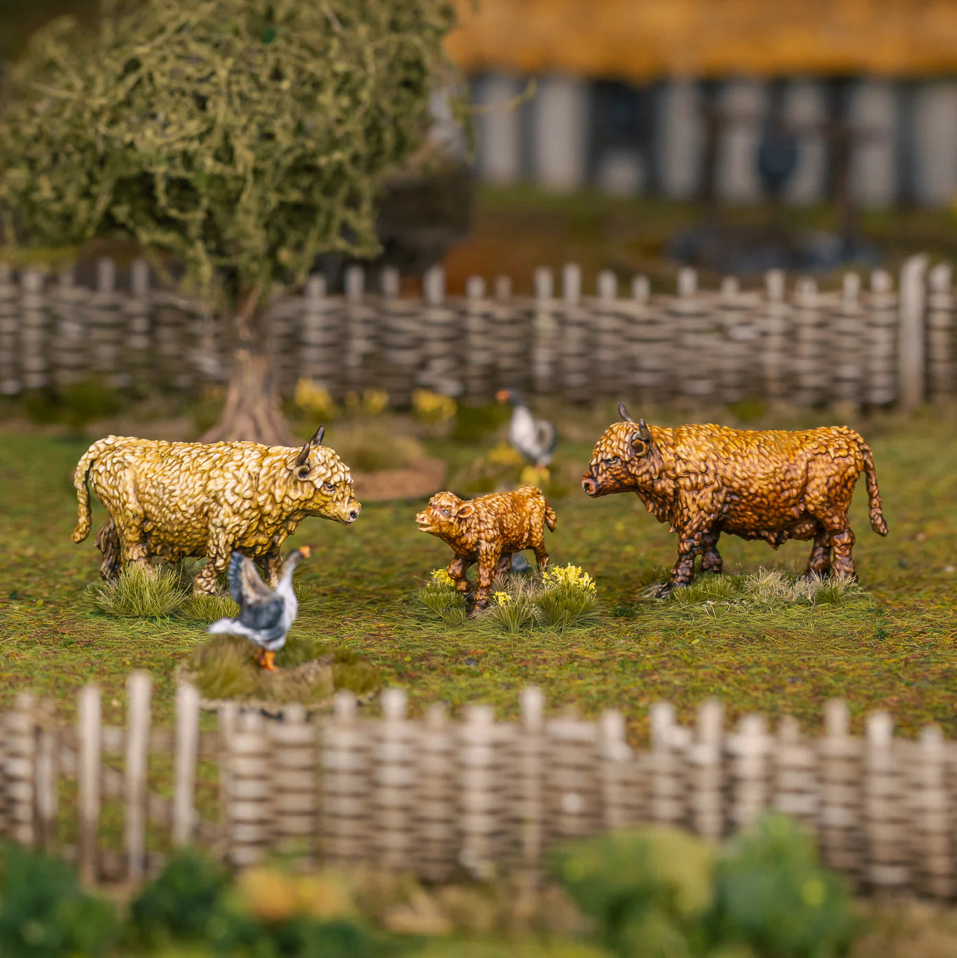 Farm Animals