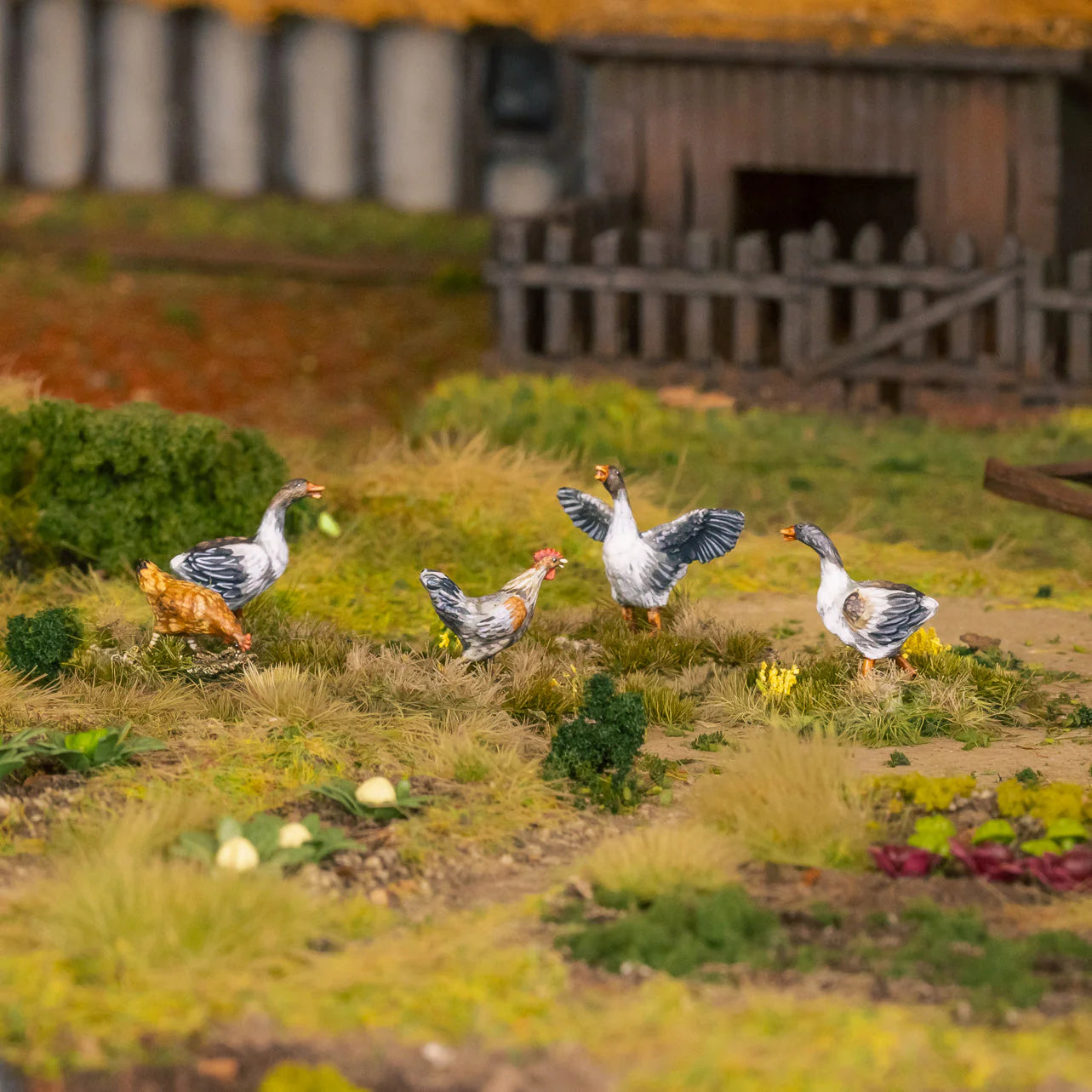 Farm Animals
