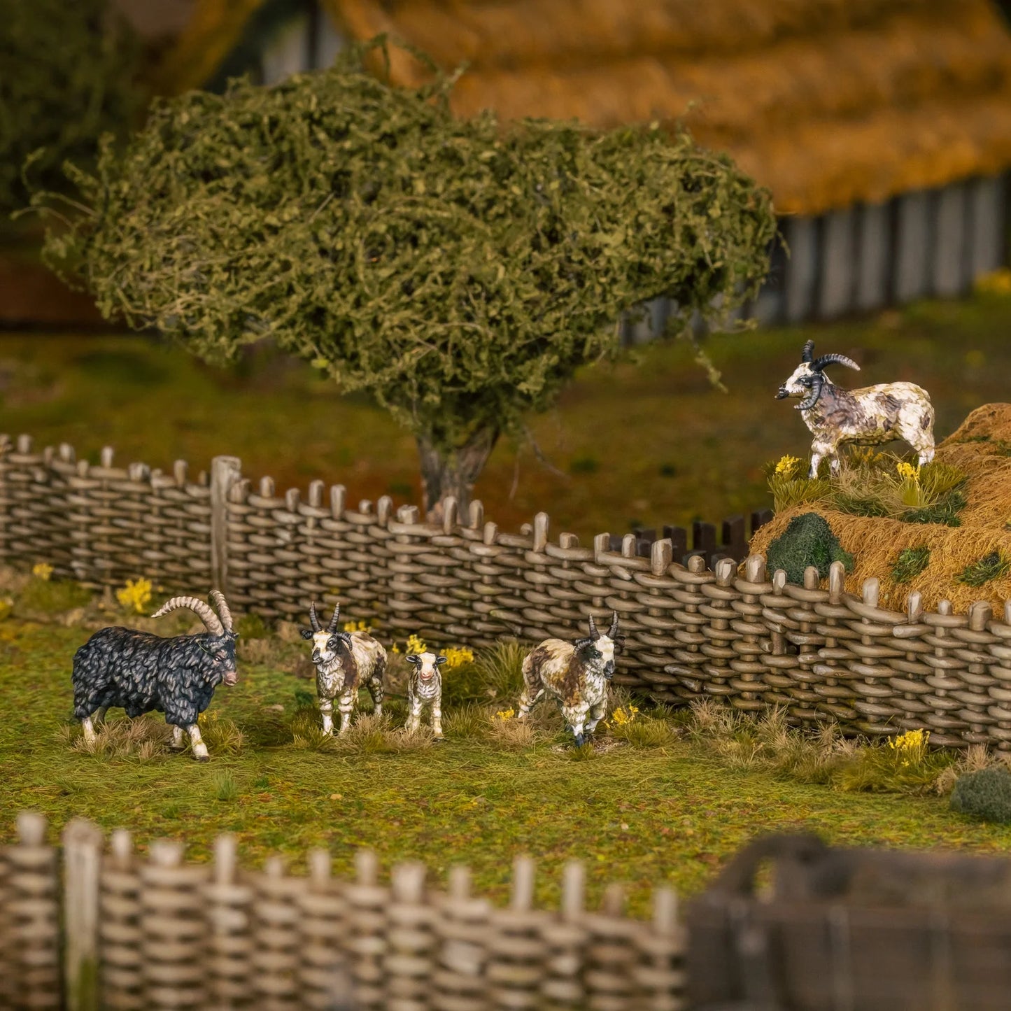 Farm Animals