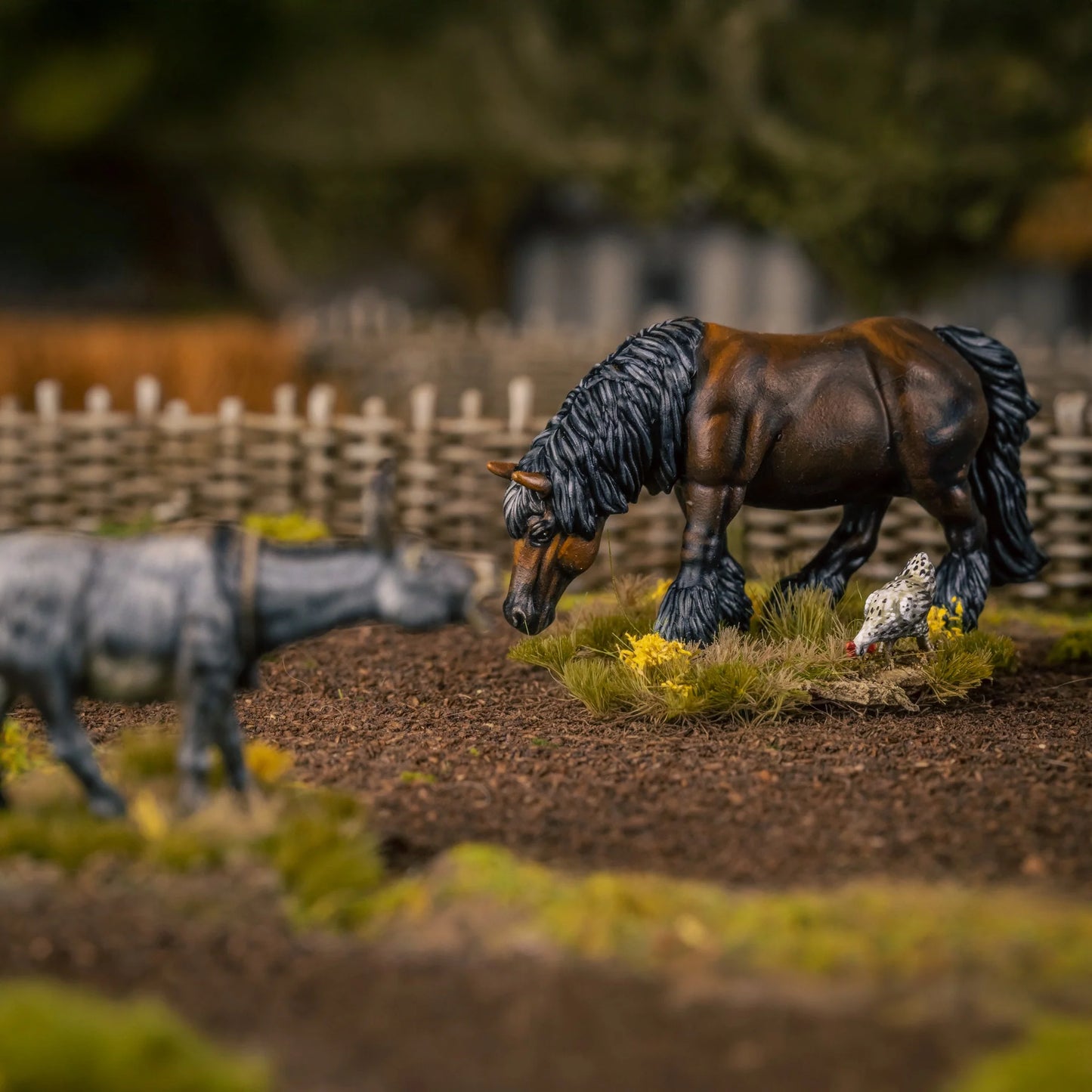 Farm Animals