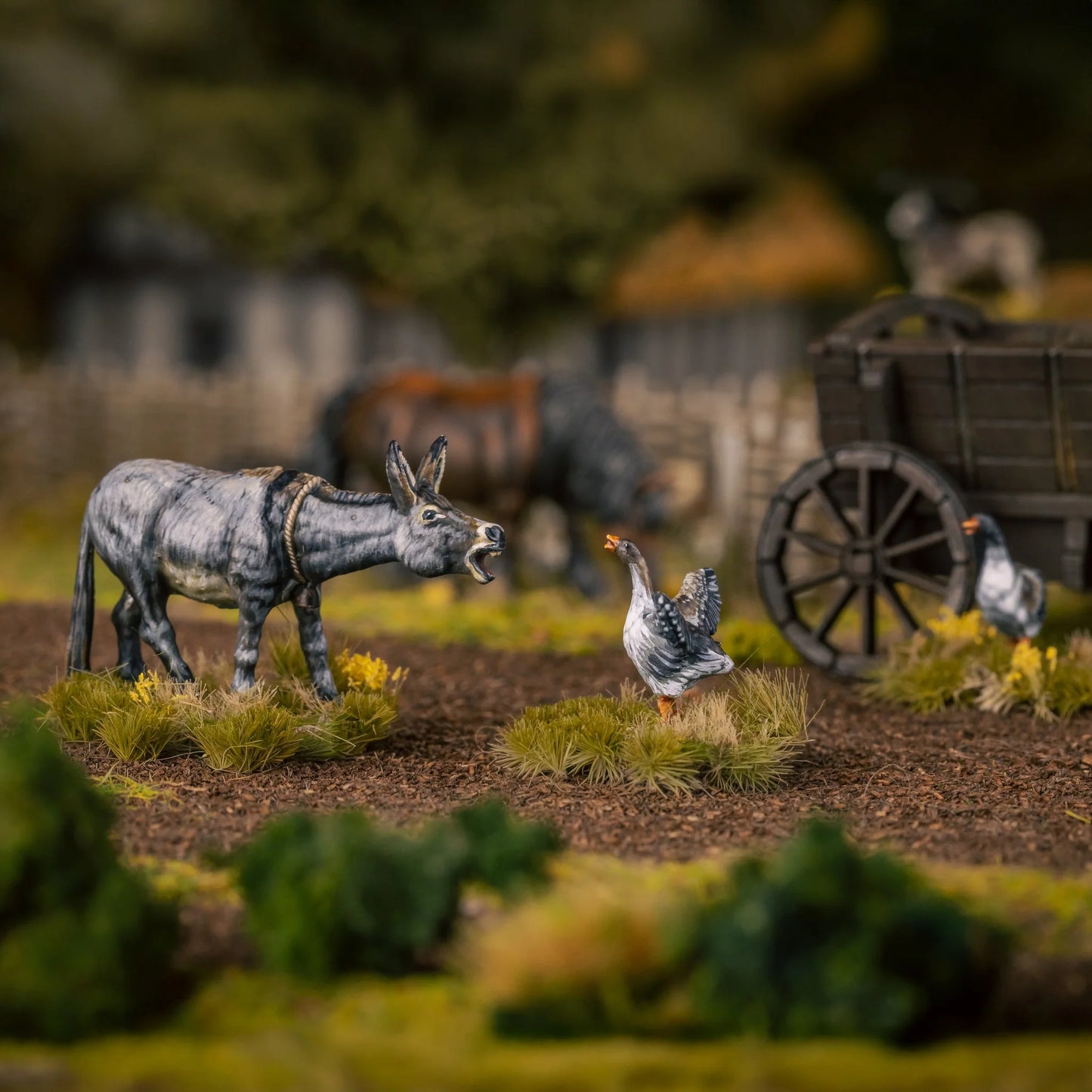 Farm Animals