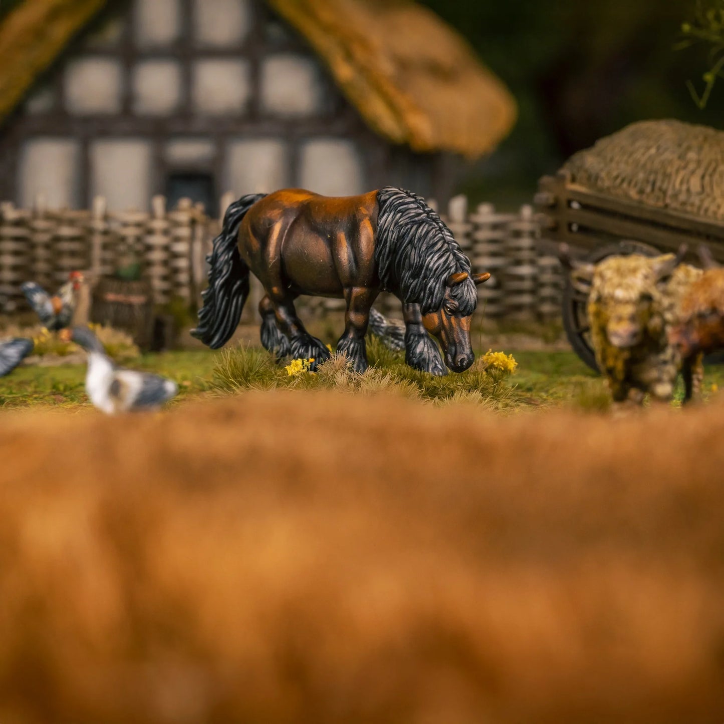 Farm Animals
