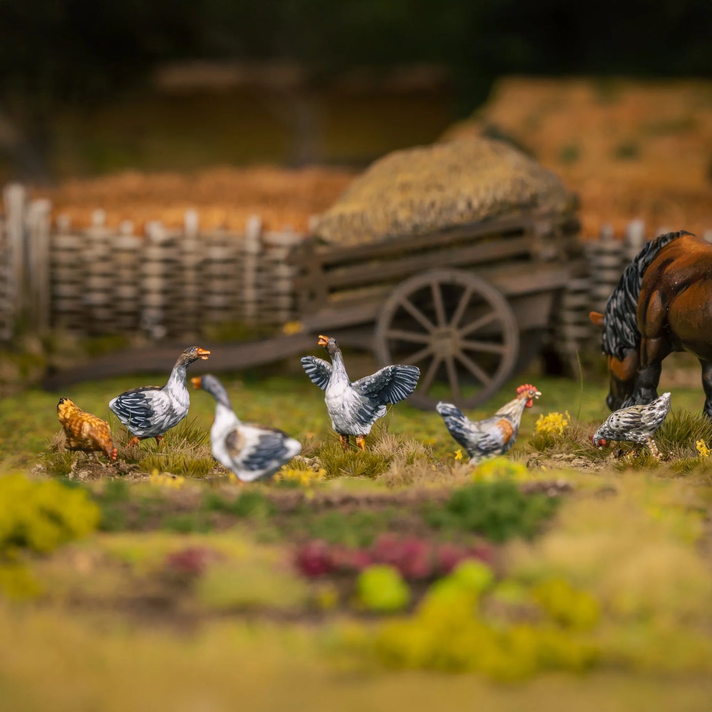 Farm Animals