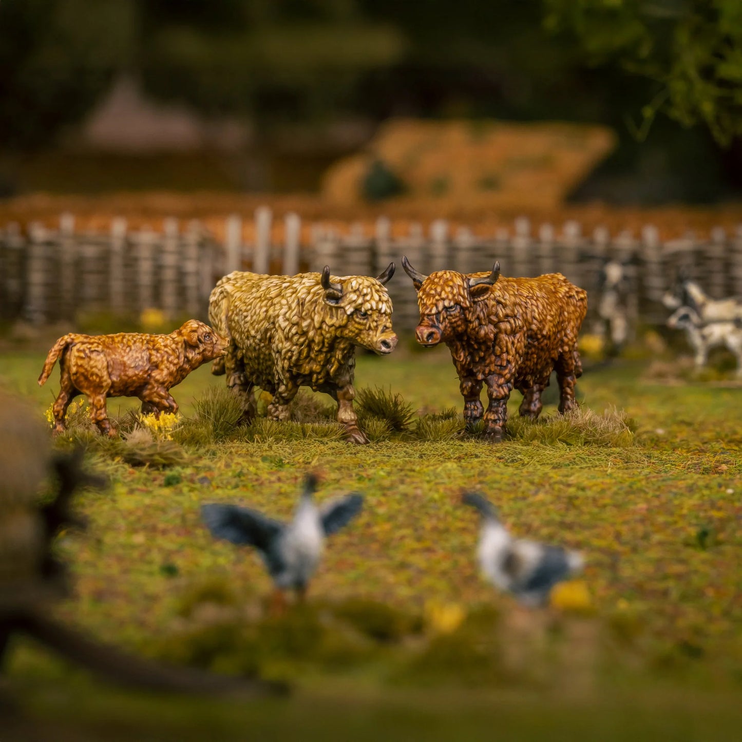 Farm Animals