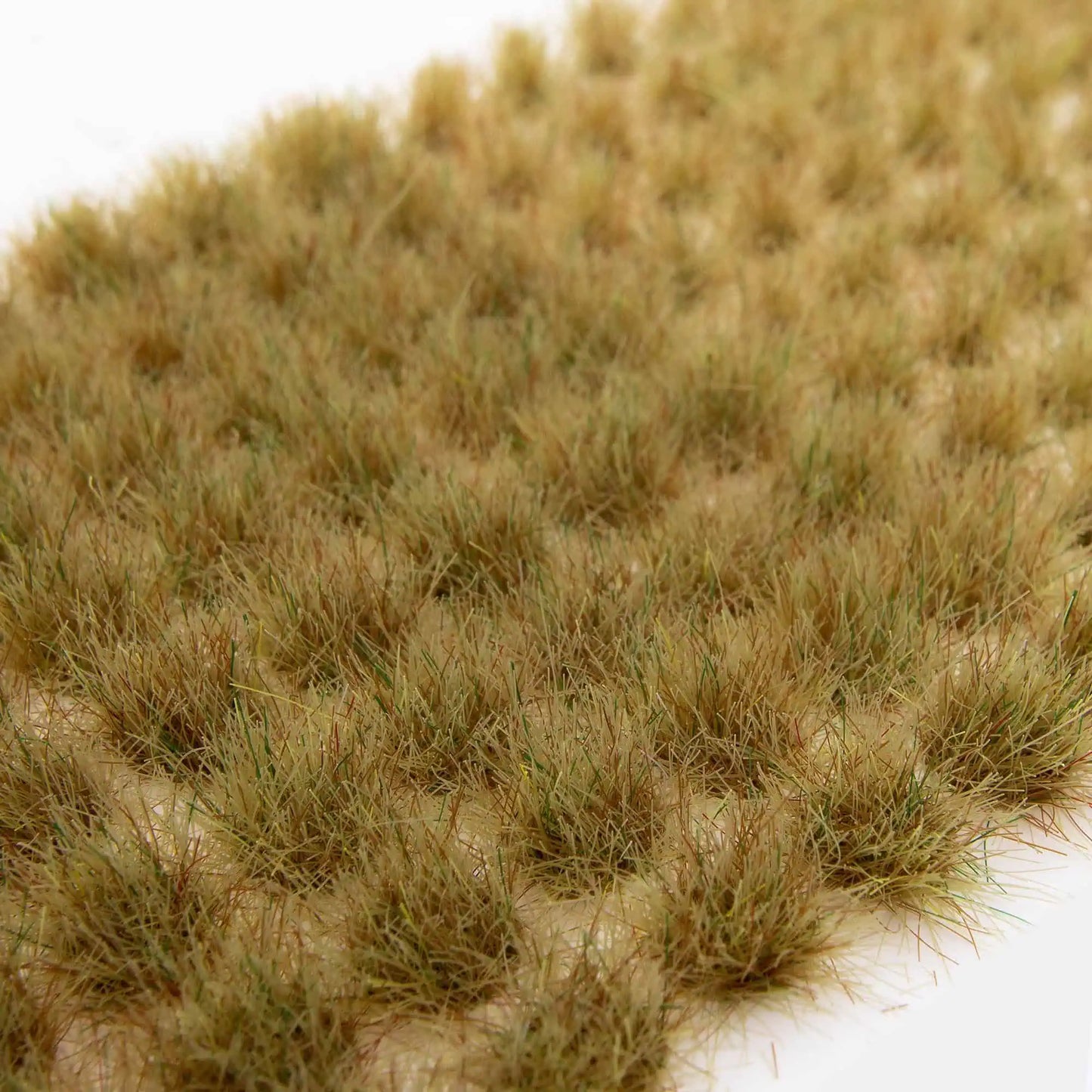 Desert Grass Tufts